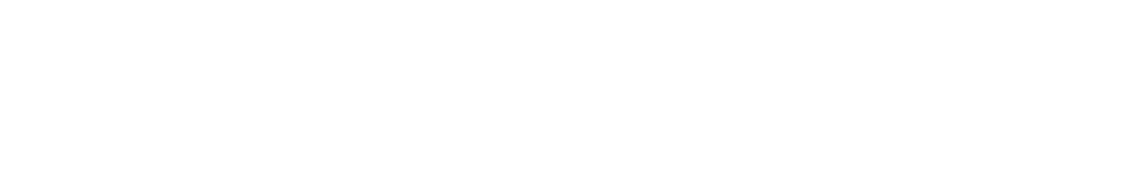 Líder Automotriz